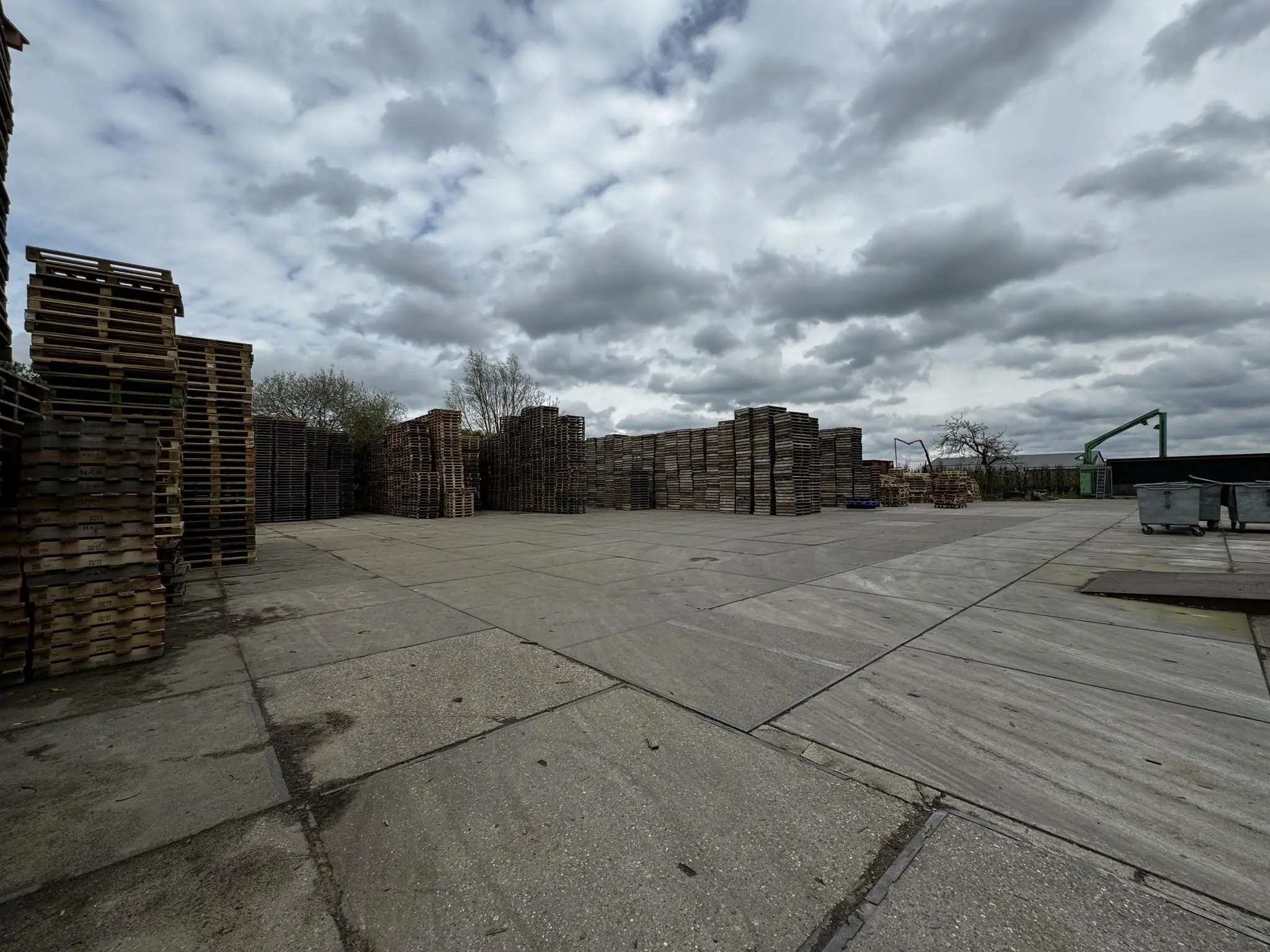 Grote voorraad houten pallets op een open opslagterrein aan de Graaf van Lynden van Sandenburgweg.